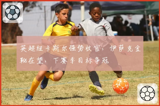 英超纽卡斯尔强势收官,伊萨克金靴在望,下赛季目标争冠